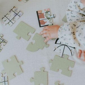 Butterfly Garden Puzzle 5