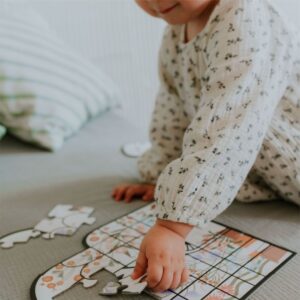 Butterfly Garden Puzzle 6