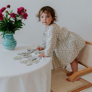 Butterfly Garden Puzzle 8