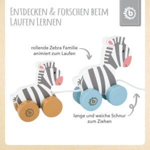 Pull-along zebras 5