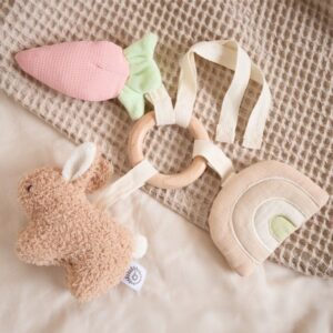 ACTIVITY TOY RABBIT FINE 2