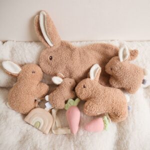 ACTIVITY TOY RABBIT FINE 6